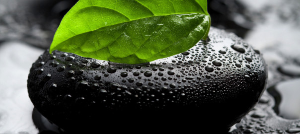 Beralihnya Daulat Rakyat ke Daulat Parpol